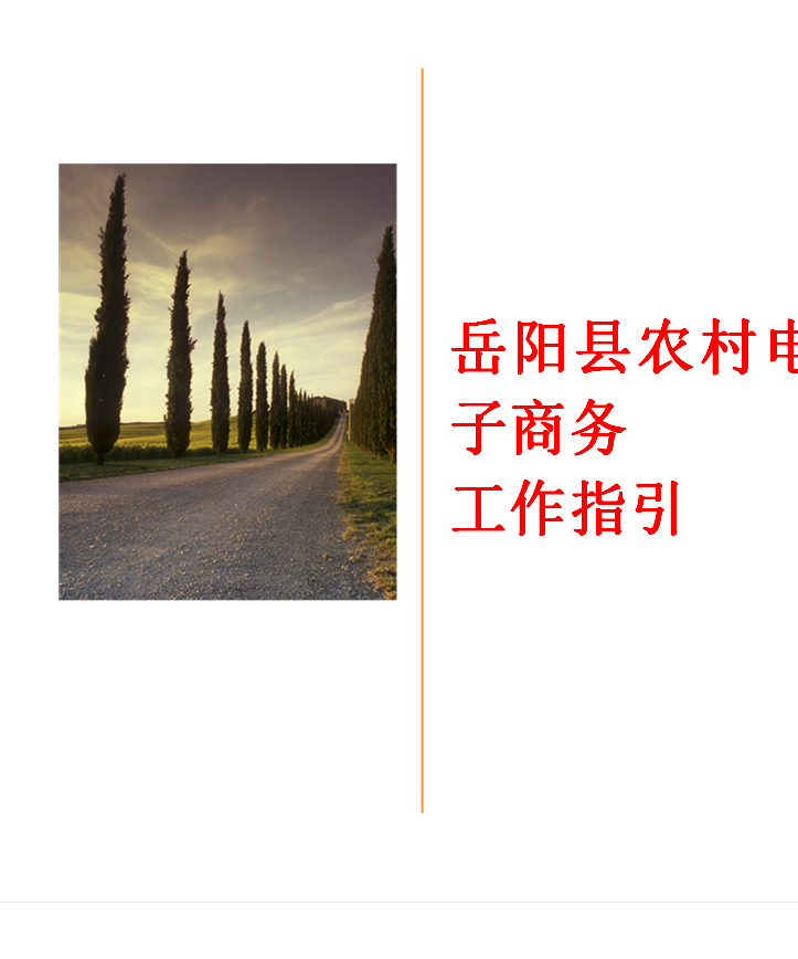 岳阳县农村电子商务
工作指引