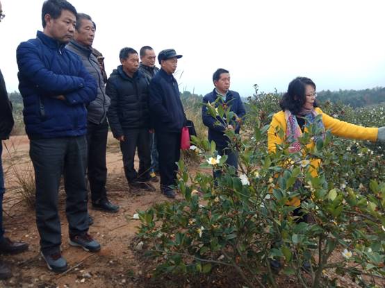 说明: C:\Users\ADMINI~1\AppData\Local\Temp\WeChat Files\7eacbfe538c8fb737f0c37e814d3d1b.jpg